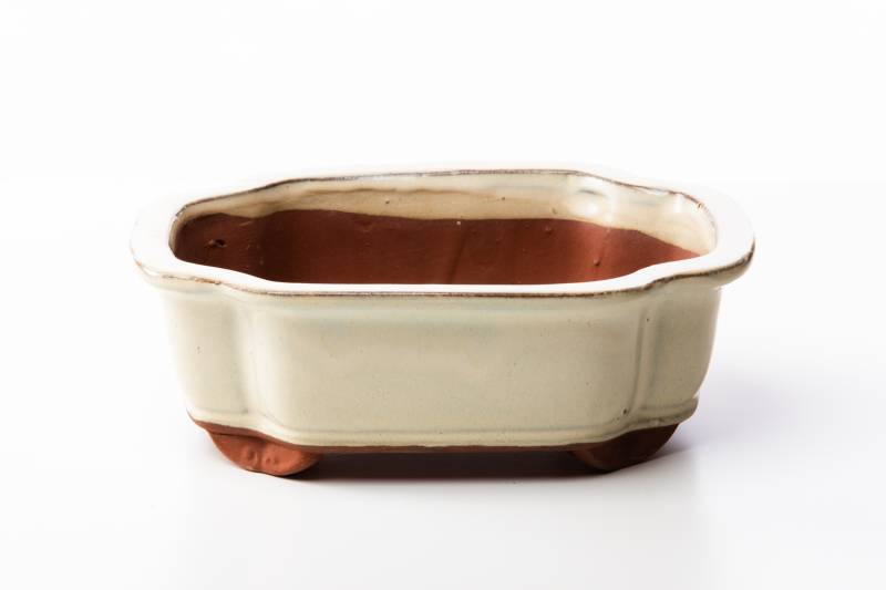 2 - Vaso bonsai a nuvola 25 cm smaltato avorio