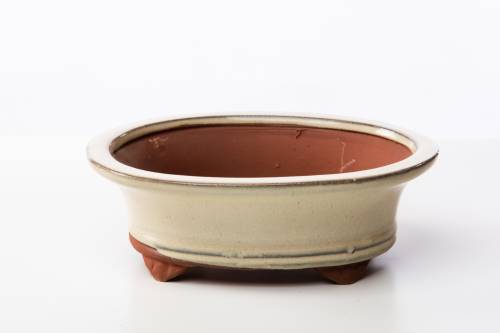 2 - Vaso bonsai ovale 20 cm smaltato avorio