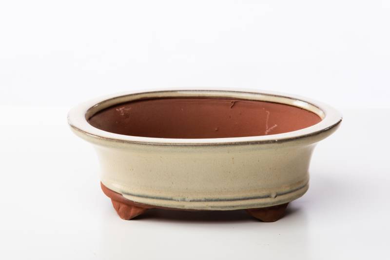 2 - Vaso bonsai ovale 20 cm smaltato avorio