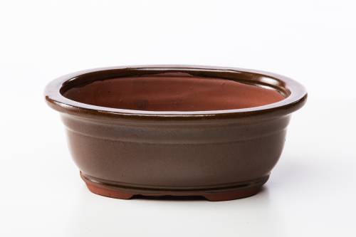 2 - Vaso bonsai ovale 21 cm smaltato marrone