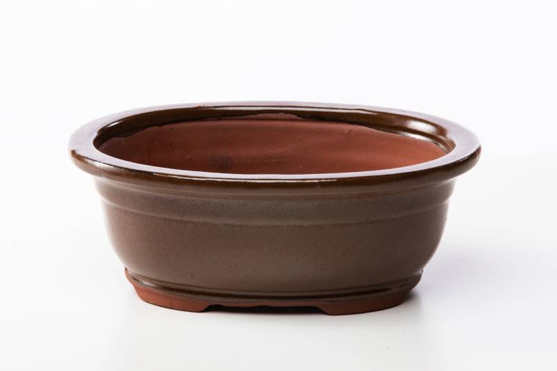 2 - Vaso bonsai ovale 21 cm smaltato marrone