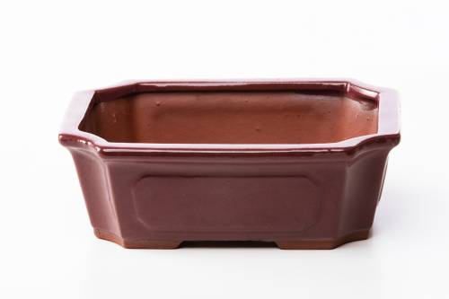 2 - Vaso bonsai rettangolare 21 cm smaltato prugna