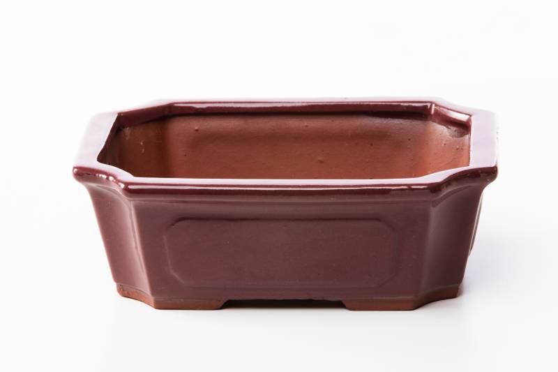 2 - Vaso bonsai rettangolare 21 cm smaltato prugna