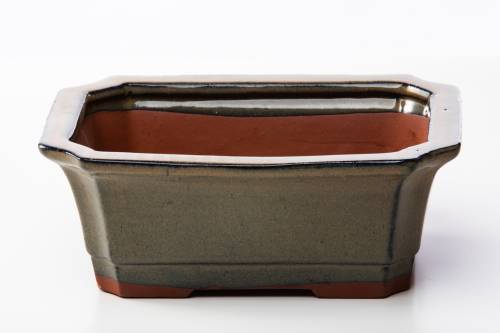 2 - Vaso bonsai rettangolare 21 cm smaltato verde oliva