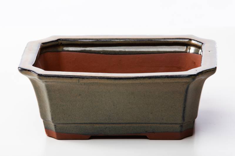 2 - Vaso bonsai rettangolare 21 cm smaltato verde oliva