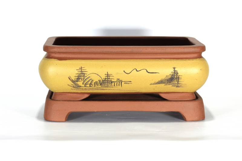 584 - Vaso bonsai rettangolare cm. 33 in gres decorato con sottovaso