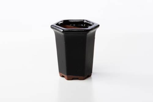 2 - Vaso bonsai esagonale 9 cm smaltato nero