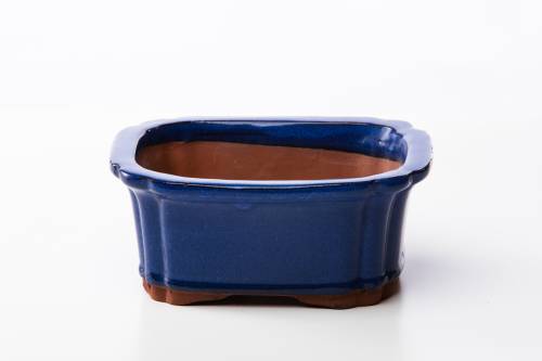 2 - Vaso bonsai rettangolare 16 cm smaltato blu
