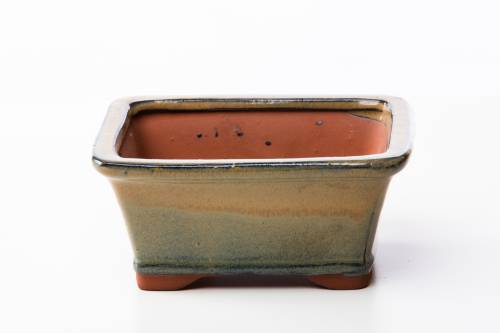 2 - Vaso bonsai rettangolare 16 cm smaltato verde oliva