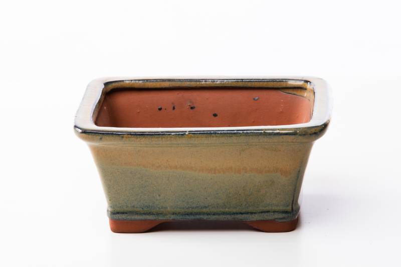 2 - Vaso bonsai rettangolare 16 cm smaltato verde oliva