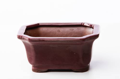 2 - Vaso bonsai rettangolare 17 cm smaltato prugna