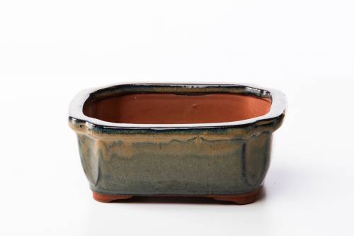2 - Vaso bonsai rettangolare 17 cm smaltato verde oliva