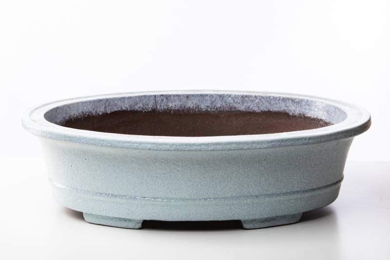 155 - Vaso bonsai ovale smaltato cm. 57