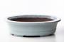 17 - Vaso bonsai ovale smaltato cm. 68