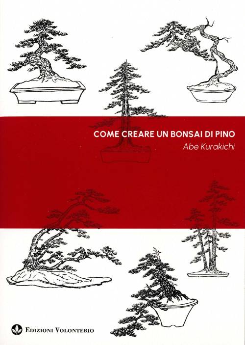 2 - Come creare un bonsai di pino - Abe Kurakichi