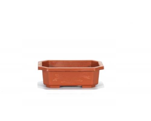 2 - Vaso rettangolare per Piante e Bonsai in plastica marrone cm. 16