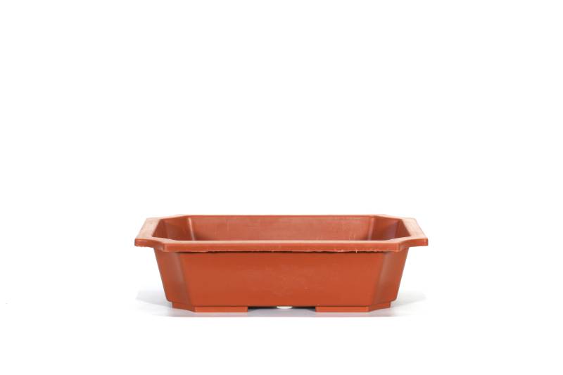 2 - Vaso rettangolare per Piante e Bonsai in plastica marrone cm. 35