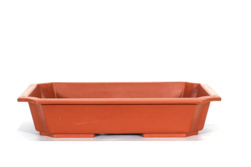 2 - Vaso rettangolare per Piante e Bonsai in plastica marrone cm. 55