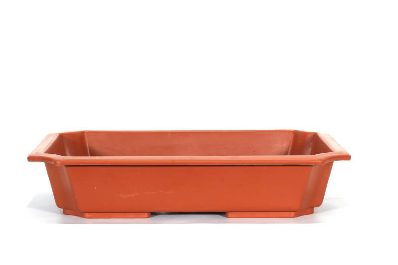 2 - Vaso rettangolare per Piante e Bonsai in plastica marrone cm. 55