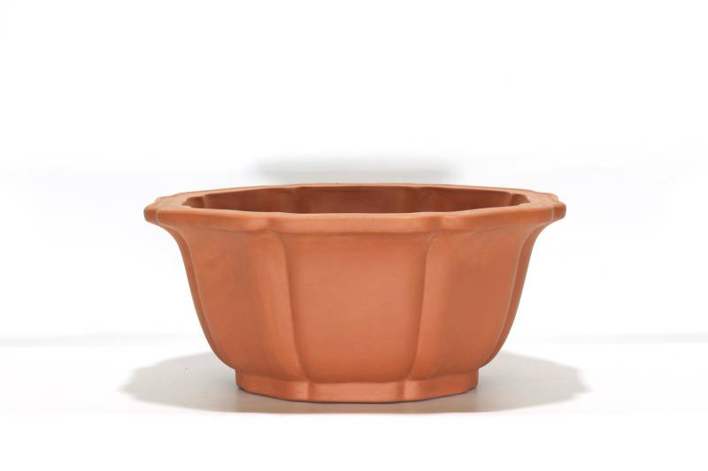 2 - Vaso bonsai in gres fior di loto cm. 44