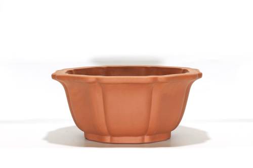 2 - Vaso bonsai in gres fior di loto cm. 57