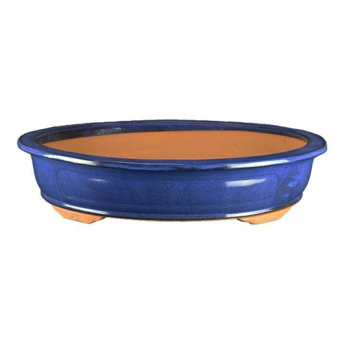 Pot à bonsaï émaillé ovale bleu 52 cm