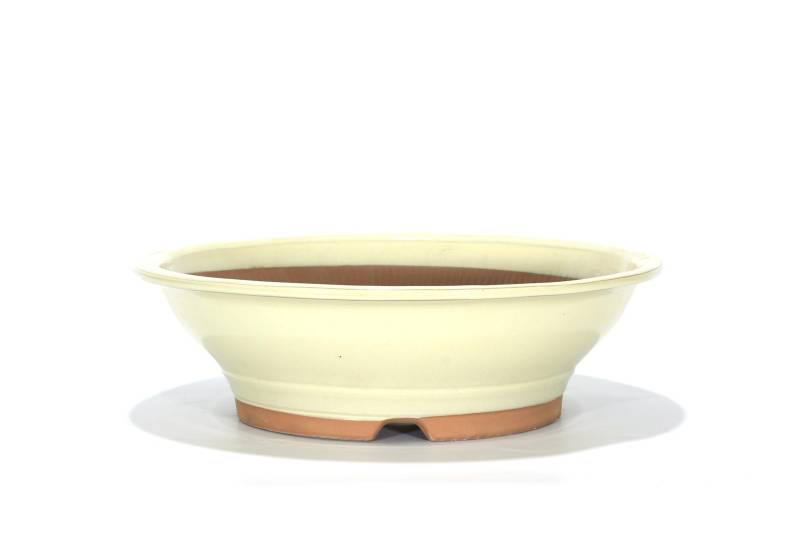 320 - Vaso bonsai smaltato tondo cm. 36
