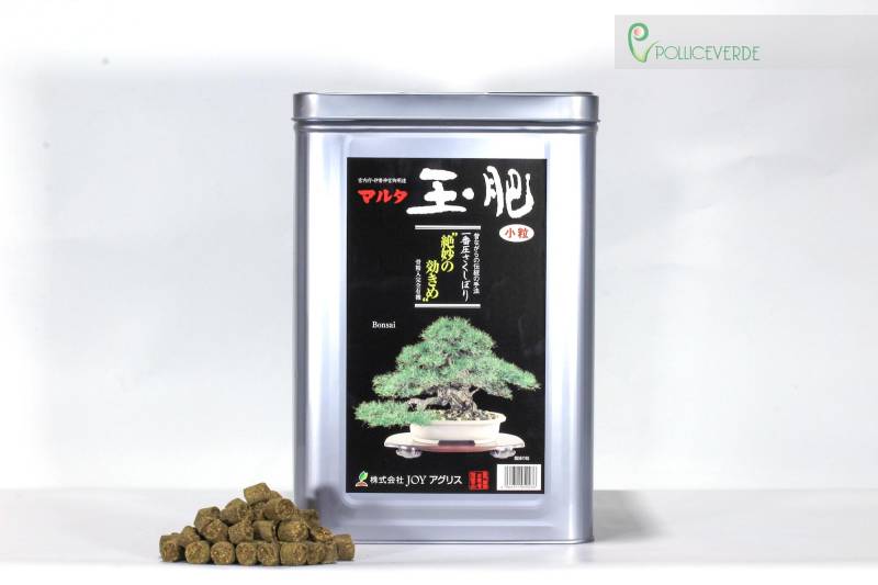2 - Joy Tamahi concime organico per bonsai di conifere 600 gr.