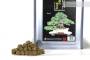 4 - Joy Tamahi concime organico per bonsai di conifere 600 gr.