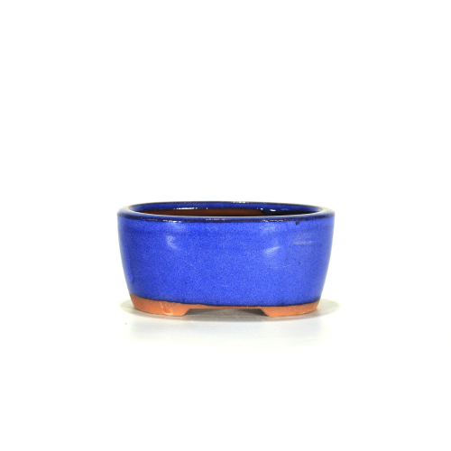 Blau emaillierte ovale Bonsaischale 12 cm