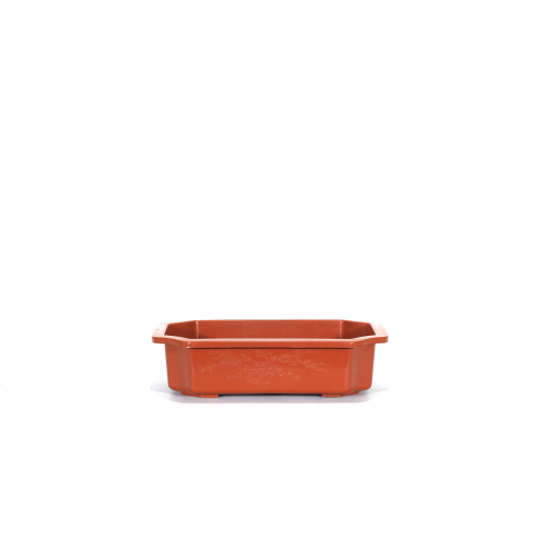 Vaso rettangolare per Piante e Bonsai in plastica marrone cm. 29