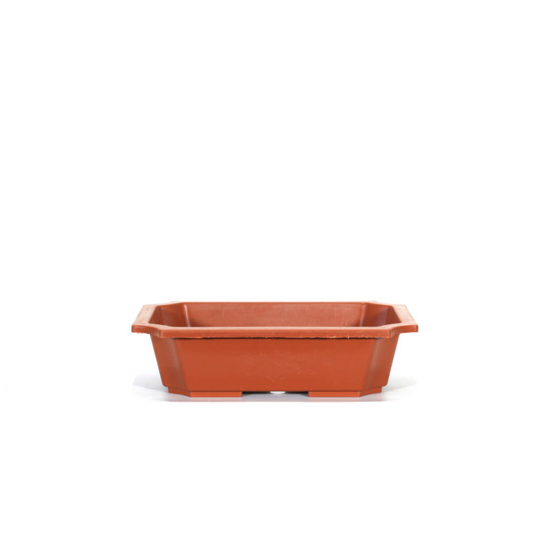 Vaso rettangolare per Piante e Bonsai in plastica marrone cm. 35