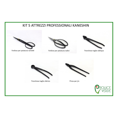 KIT 5 Professionelle Werkzeuge für die Verarbeitung von Bonsai - Kaneshin