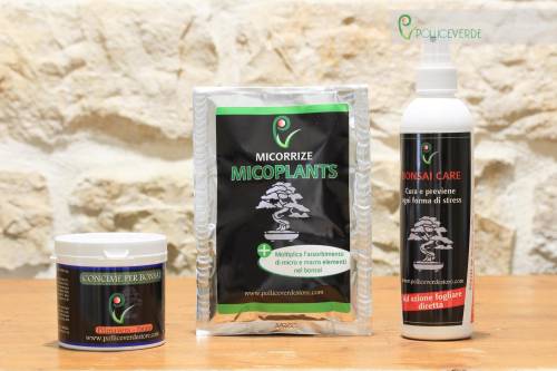 2 - KIT 3 prodotti per Concimazione e Cura BONSAI - Pollice Verde