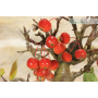 Crab apple bonsai (98)