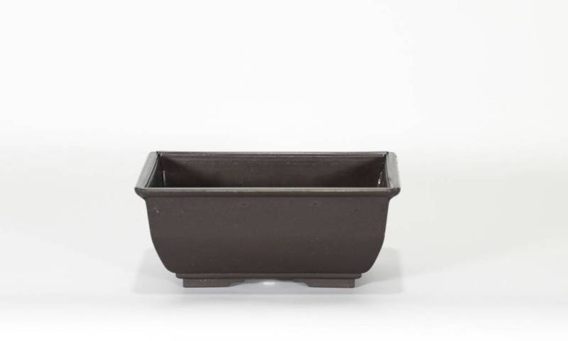 2 - Vaso rettangolare per Piante e Bonsai in plastica nera cm. 15