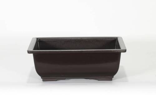 2 - Vaso rettangolare per Piante e Bonsai in plastica nera cm. 20