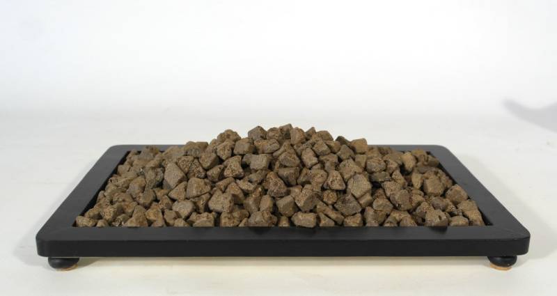 2 - Biogold concime organico per bonsai 300 gr.