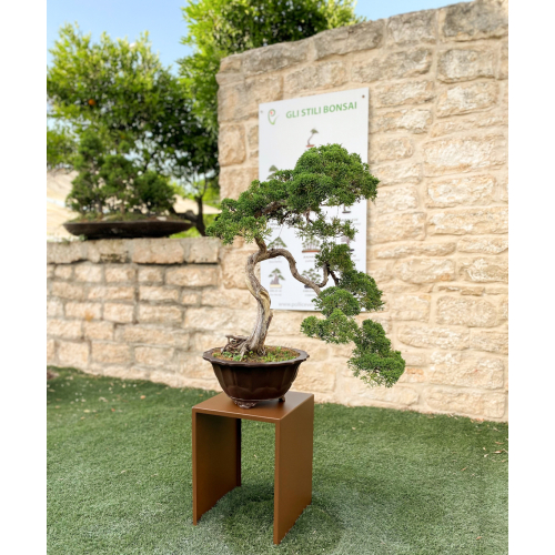 Espositore alzatina per piante e bonsai - base cm. 30x30 - altezza cm. 40