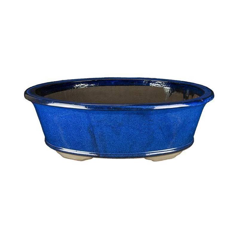 2 - Vaso bonsai smaltato ovale blu 51 cm
