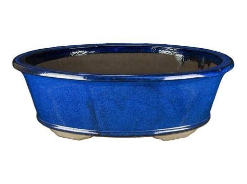 2 - Vaso bonsai smaltato ovale blu 60 cm