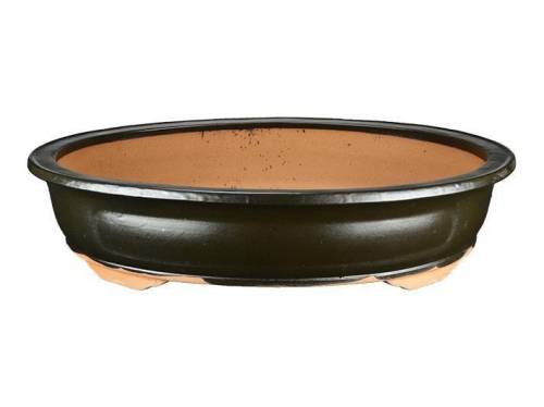 2 - Vaso bonsai ovale smaltato marrone 52 cm
