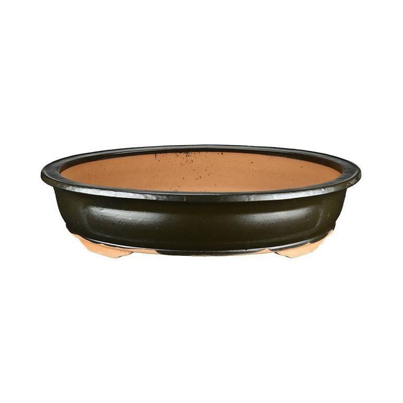 2 - Vaso bonsai ovale smaltato marrone 62 cm
