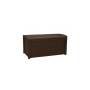 Borneo resin trunk - brown rattan finish