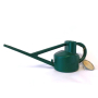 5 lt green plastic watering can