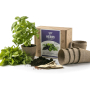 Herb and infusion seeds kit with growing accessories