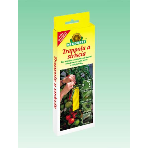 Trap for Noxious Striped Volatile Insects