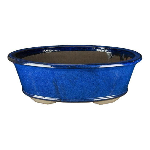 Pot à bonsaï ovale émaillé bleu 51 cm