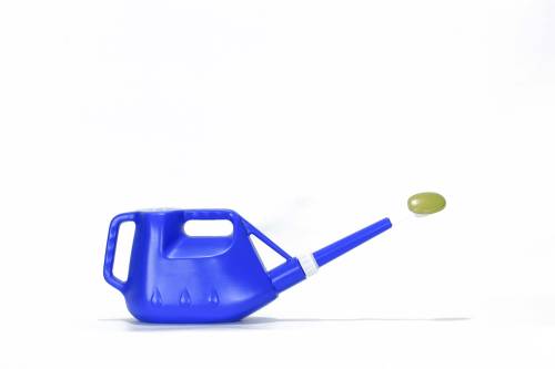 2 - Annaffiatoio 3 lt per bonsai in plastica blu