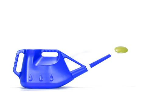 2 - Annaffiatoio 6 lt per bonsai in plastica blu
